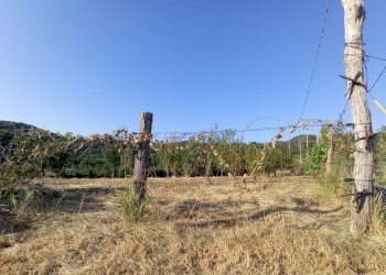 1627034687853.jpg - Rustico Sarzana - foto 11