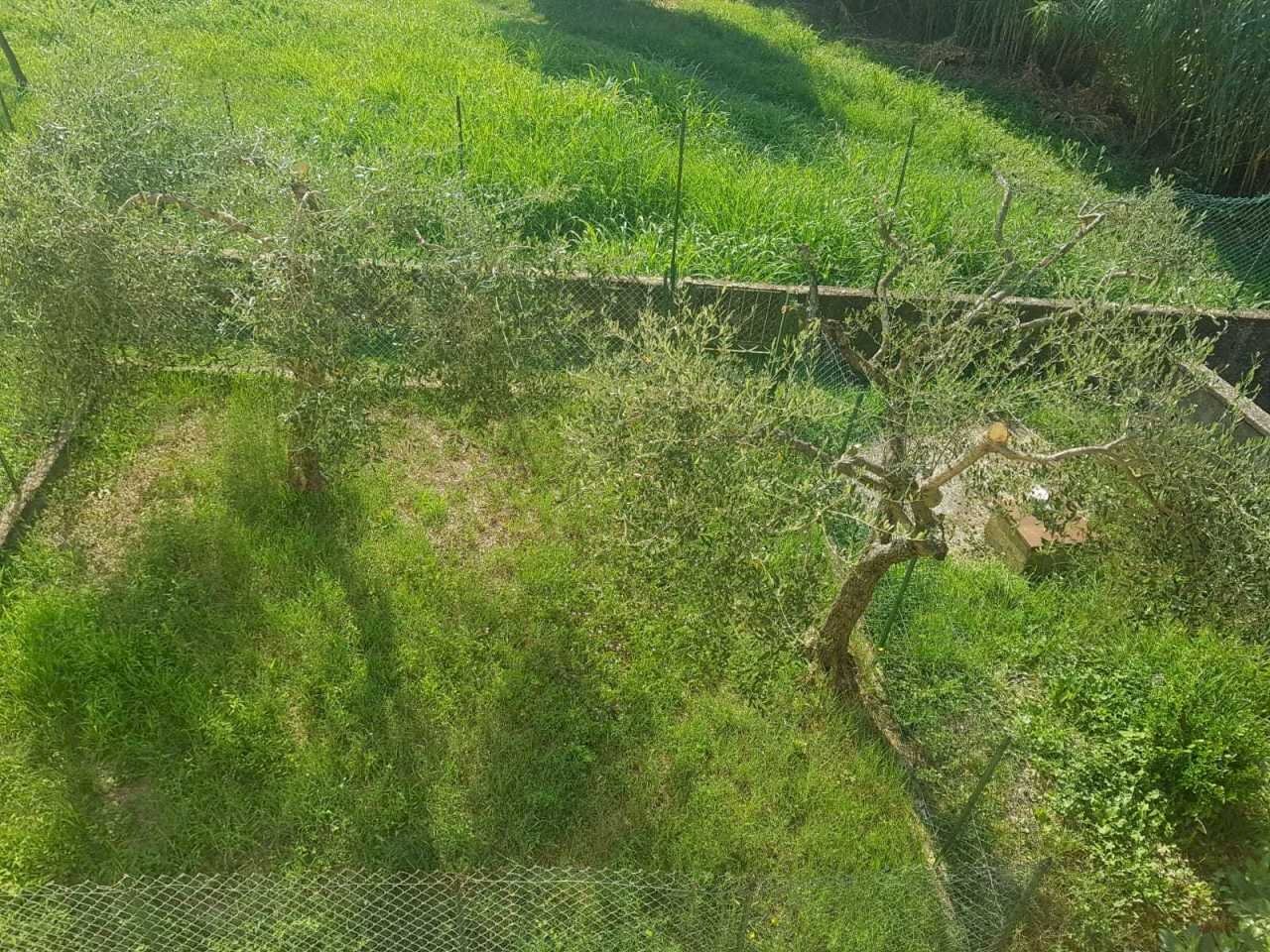 IMG-20190806-WA0030.jpg - Four-room apartment Fosdinovo - photo 1