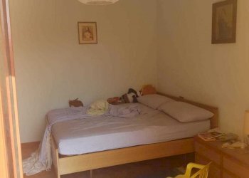 IMG-20190806-WA0031.jpg - Quadrilocale Fosdinovo - foto 7