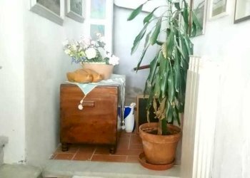 IMG-20190320-WA0079.jpg - Terratetto - Terracielo Arcola - foto 22