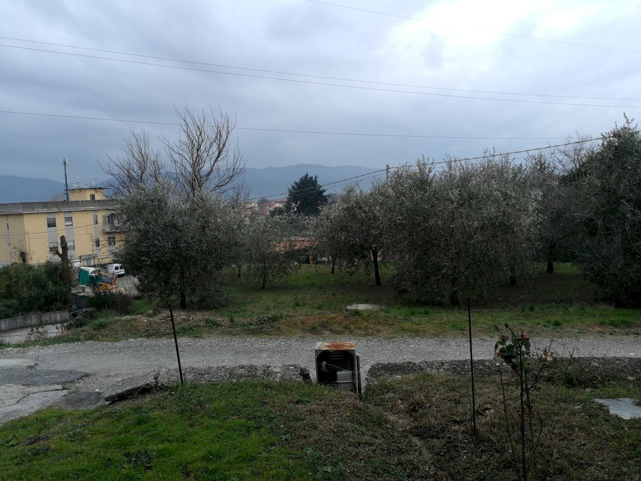 IMG_20190108_151754.jpg - Casale Castelnuovo Magra - foto 3