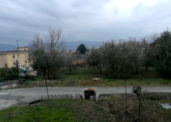 IMG_20190108_151754.jpg - Casale Castelnuovo Magra - foto 3