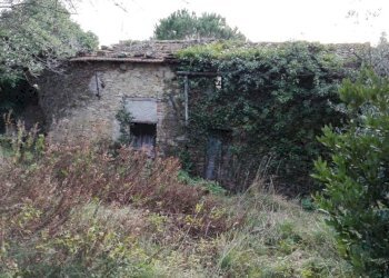 IMG-20180111-WA0064.jpg - Casa semi indipendente Fosdinovo - foto 3