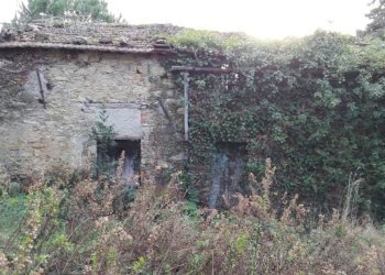 IMG-20180111-WA0062.jpg - Casa semi indipendente Fosdinovo - foto 1