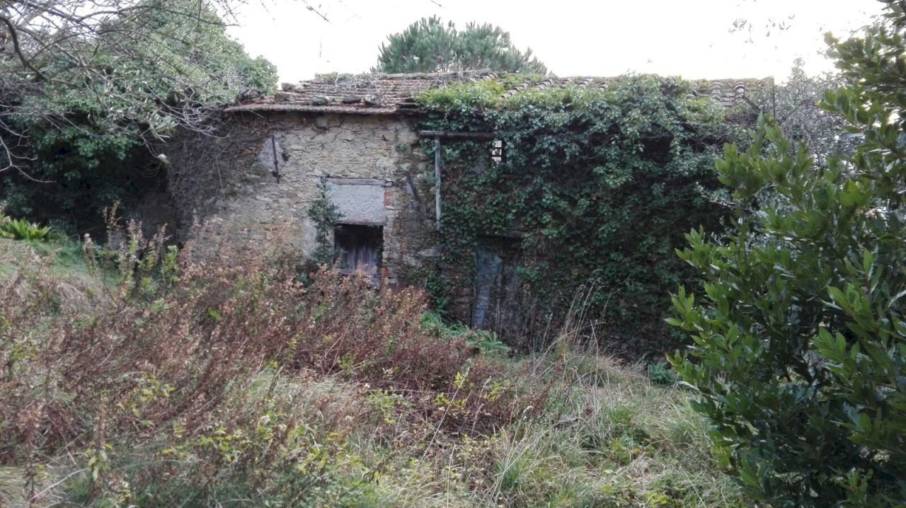 IMG-20180111-WA0064.jpg - Casa semi indipendente Fosdinovo - foto 3