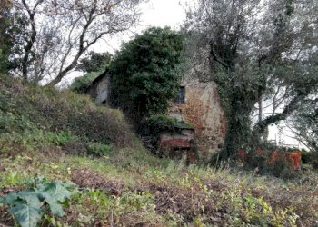 IMG-20180111-WA0063.jpg - Casa semi indipendente Fosdinovo - foto 2