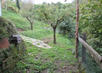 IMG_0380 (Copia).JPG - Casa semi indipendente Fosdinovo - foto 8