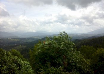 IMG-20150915-WA0031 (Copia).jpg - Casa semi indipendente Fosdinovo - foto 12