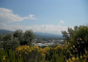 88190.jpg - Terreno edificabile Arcola - foto 3