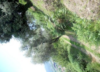 88197.jpg - Terreno edificabile Arcola - foto 10