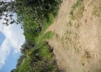 88198.jpg - Terreno edificabile Arcola - foto 11