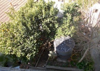 79383.jpg - Casa semi indipendente Arcola - foto 12