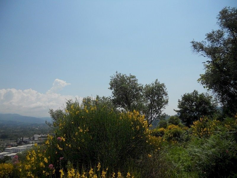 88188.jpg - Terreno edificabile Arcola - foto 1