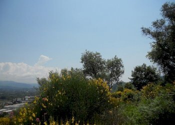 88188.jpg - Terreno edificabile Arcola - foto 1