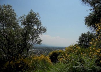 88192.jpg - Terreno edificabile Arcola - foto 5