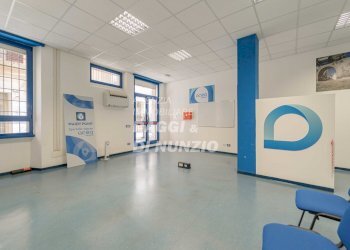 0007.jpg - Locale Commerciale Via delle Fratte, Frascati - foto 7