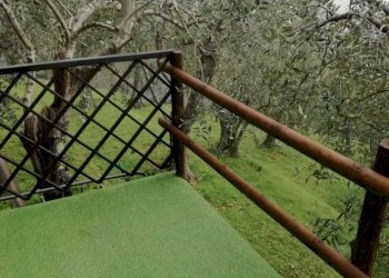 PHOTO-2021-09-29-16-15-42 (1).jpg - Agricultural land Camaiore - photo 2