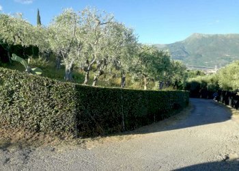 PHOTO-2021-09-29-16-15-41.jpg - Agricultural land Camaiore - photo 4