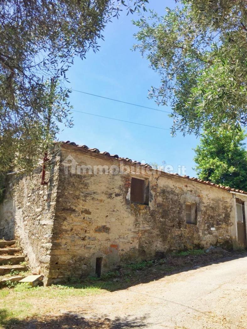 xxl (3).jpg - Rustico Massarosa - foto 3