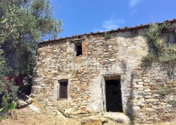 xxl (1).jpg - Rustico Massarosa - foto 1