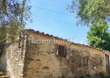 xxl (3).jpg - Rustico Massarosa - foto 3