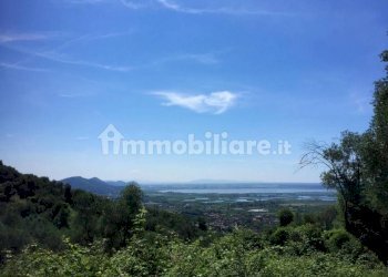 xxl (4).jpg - Rustico Massarosa - foto 4