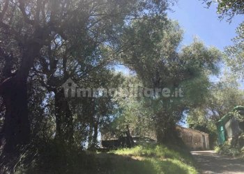 xxl (5).jpg - Rustico Massarosa - foto 5