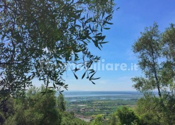 xxl.jpg - Rustico Massarosa - foto 9