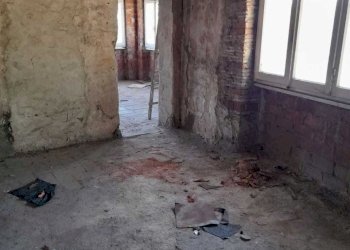 PHOTO-2021-06-03-16-52-32 (1).jpg - Terratetto - Terracielo Camaiore - foto 2