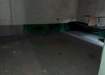 PHOTO-2021-06-03-16-52-32.jpg - Terratetto - Terracielo Camaiore - foto 3