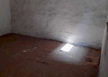 PHOTO-2021-06-03-16-52-31 (4).jpg - Terratetto - Terracielo Camaiore - foto 4