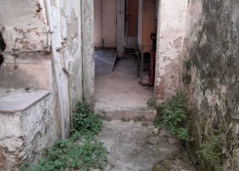 PHOTO-2021-06-03-16-52-29 (1).jpg - Terratetto - Terracielo Camaiore - foto 13