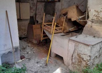 PHOTO-2021-06-03-16-52-28.jpg - Terratetto - Terracielo Camaiore - foto 16