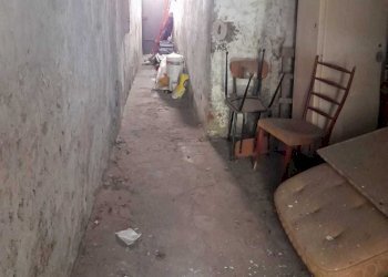 PHOTO-2021-06-03-16-52-25.jpg - Terratetto - Terracielo Camaiore - foto 18