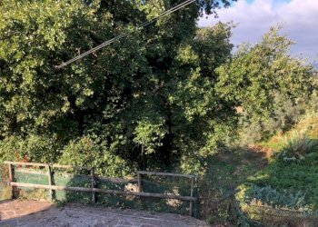 1f6cbc50-f547-4e2c-9c35-8bb28b0811c0_5da980d51a34f - Villa Camaiore - photo 5