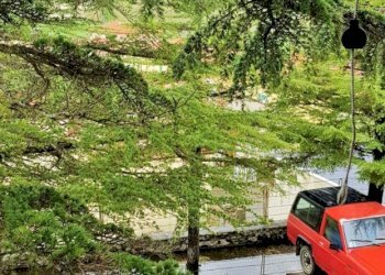 IMG-20180411-WA0028 (2).jpg - Casa indipendente Via Borgo di Sotto in Marciaso 1, Fosdinovo - foto 28