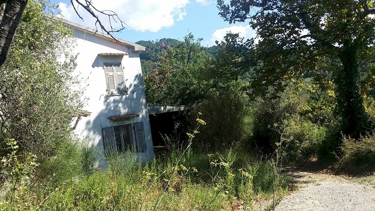 20160906_154247.jpg - Rustic Fosdinovo - photo 3