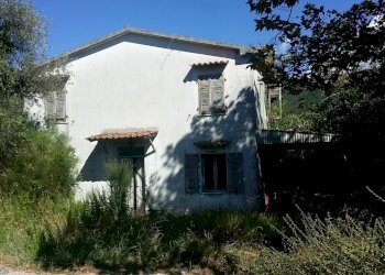 20160906_154206.jpg - Rustico Fosdinovo - foto 1