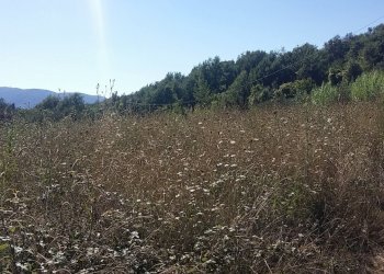 20160906_154503.jpg - Rustico Fosdinovo - foto 4