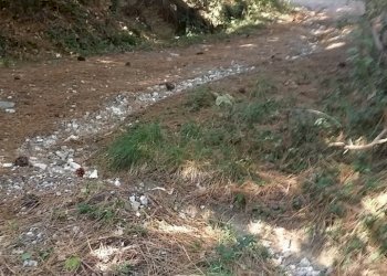 20160906_153942.jpg - Rustico Fosdinovo - foto 13