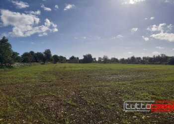 Rustico CONTRADA PURROMAZZA, Scicli - foto 5