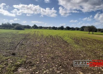 Rustico CONTRADA PURROMAZZA, Scicli - foto 6