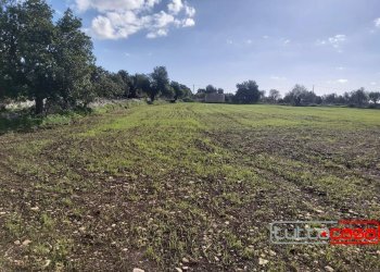 Rustico CONTRADA PURROMAZZA, Scicli - foto 7