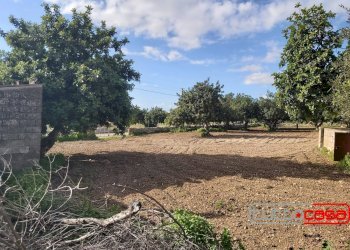 Casa indipendente CONTRADA SAN GIOVANNI LO PIRATO, Scicli - foto 15