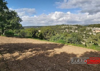 Casa indipendente CONTRADA SAN GIOVANNI LO PIRATO, Scicli - foto 17