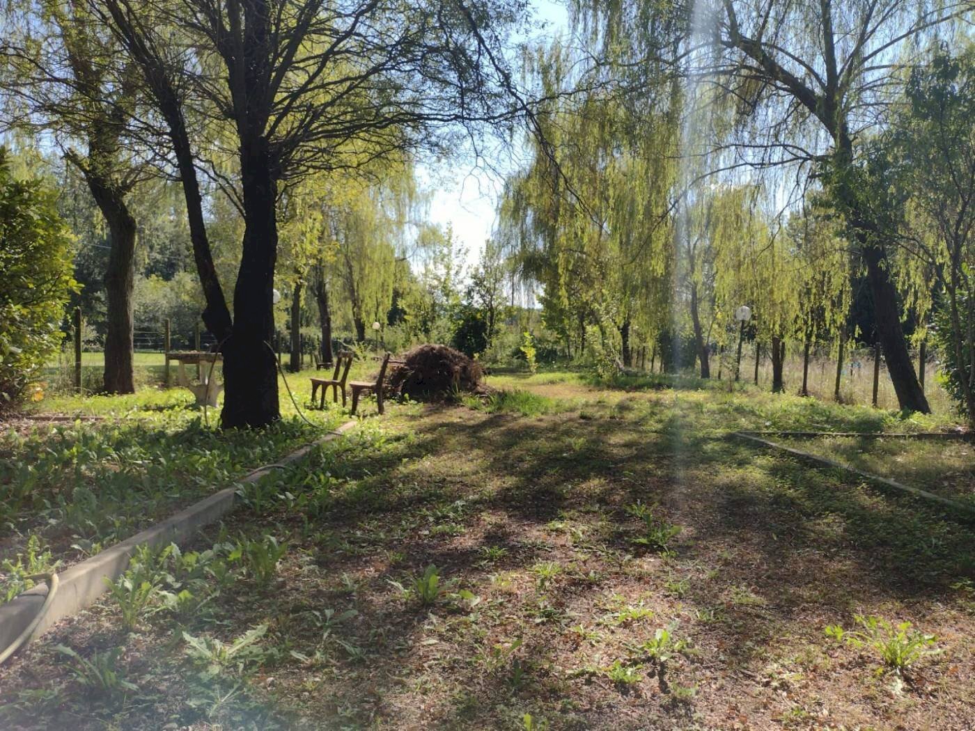 Agricultural land Varese - photo 2