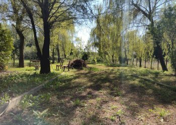Terreno agricolo Varese - foto 2