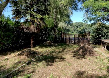 Terreno agricolo Varese - foto 3