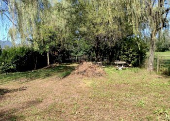 Terreno agricolo Varese - foto 5