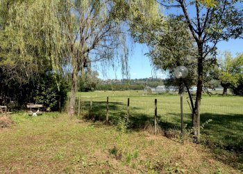 Terreno agricolo Varese - foto 6